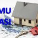 ImuTasi1