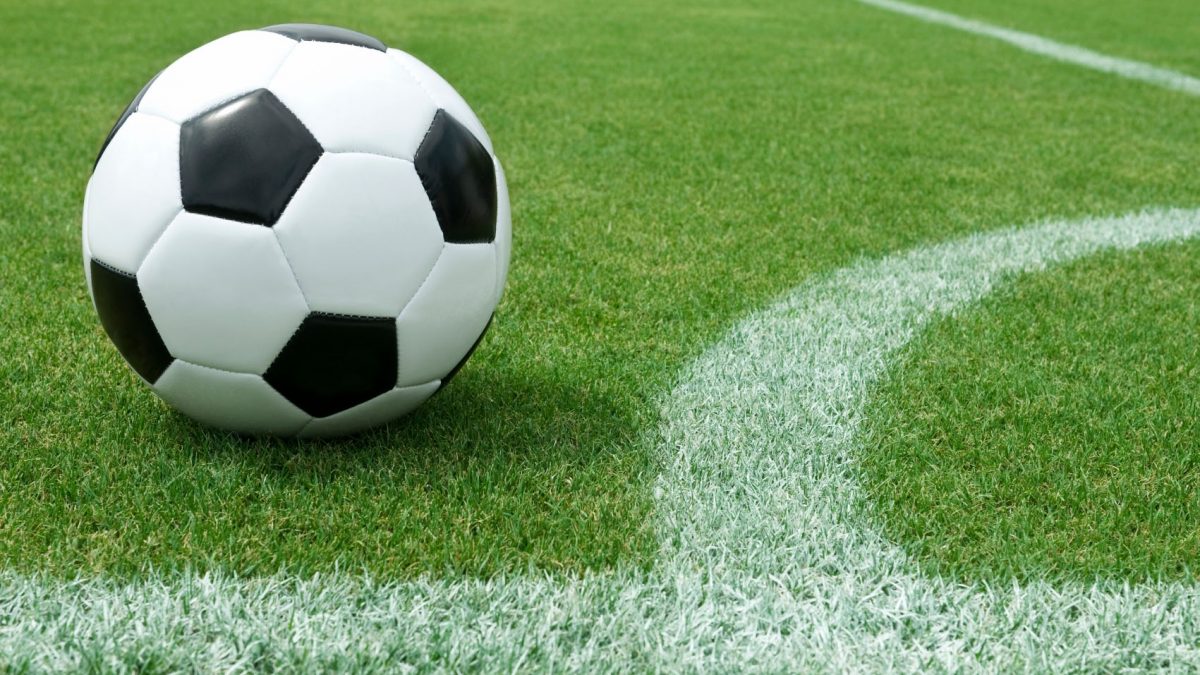 Pallone di calcio