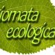 Giornata ecologica