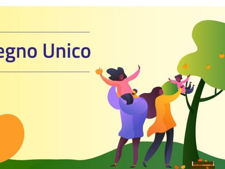 Assegno unico